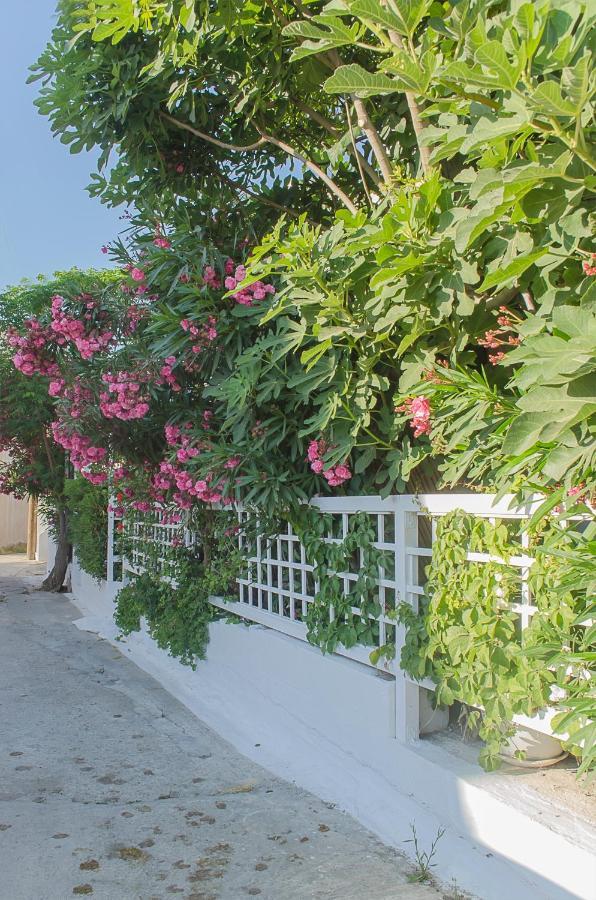 Kalypso Studios & Rooms Палиохора Екстериор снимка